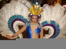 Fotos Noticias 2009